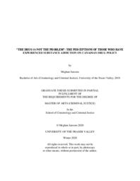 "The drug is not the problem" : the perceptions of those who have experienced substance addiction on Canadian drug policy