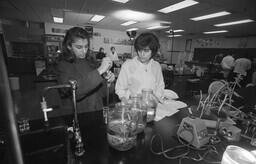 UFV-03-01-03-012-NEG-587