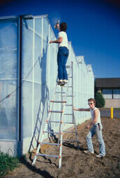 agriculture – students working on greenhouse