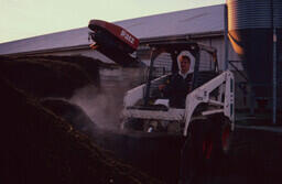 Agriculture student shoveling manure with Bobcat.