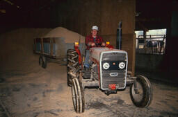 Agriculture (livestock) student on tractor.